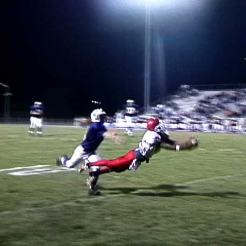 Sensational Catch by Terrence McAboy