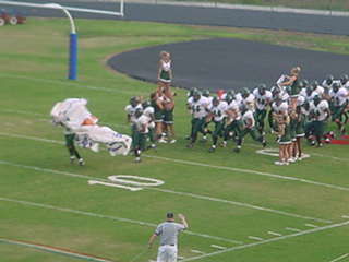 Here Come the Hornets