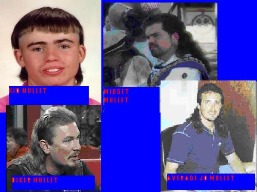 What A Mullet