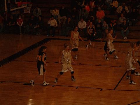 Lady Lions on offense