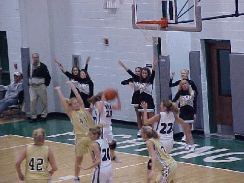 Houston Co. vs. Stewart Co.