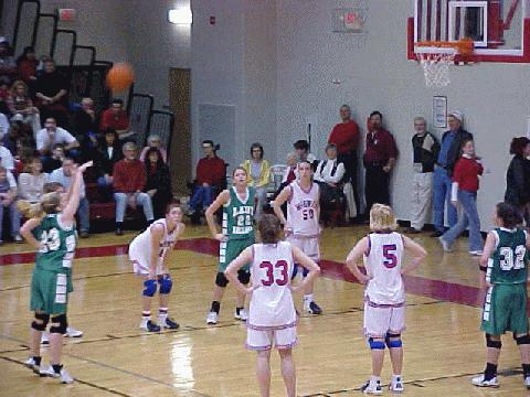   McEwen vs. Houston Co.