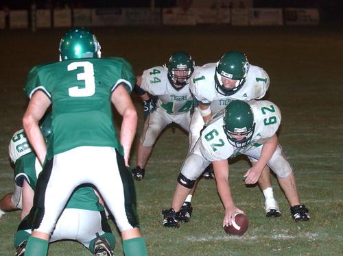 Rockwood QB Zach Breazeale looks over the defense.