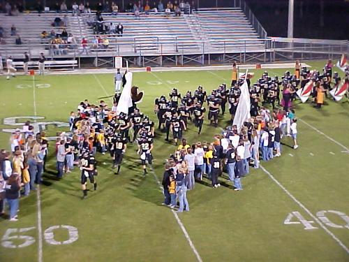 Here come the OWLS!!!!